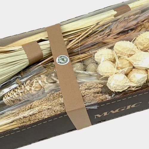 Designer Bleached Half Box - Dried Floral Pack