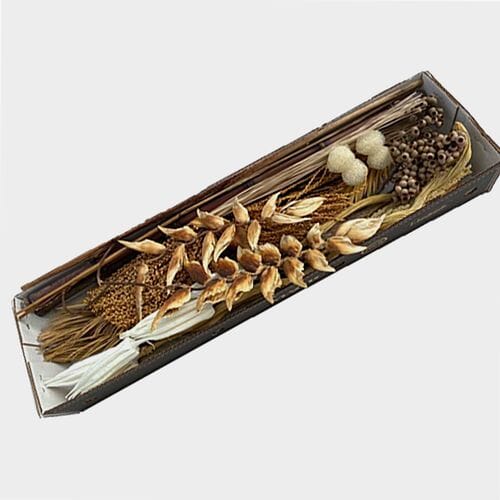 Wholesale flowers prices - buy Designer Bleached Mini Box - Dried Floral Pack in bulk