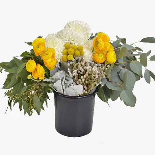 Pantone Ultimate Grey And Illuminating Pack - Wholesale - Blooms By The Box