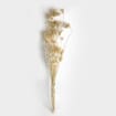 Fennel Dried Bleached
