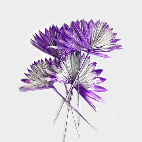 Palm Sun Dried Purple