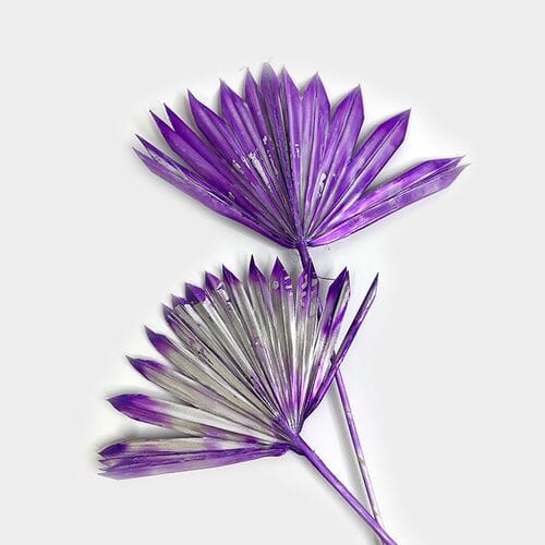 Palm Sun Dried Purple - Thumbnail 2