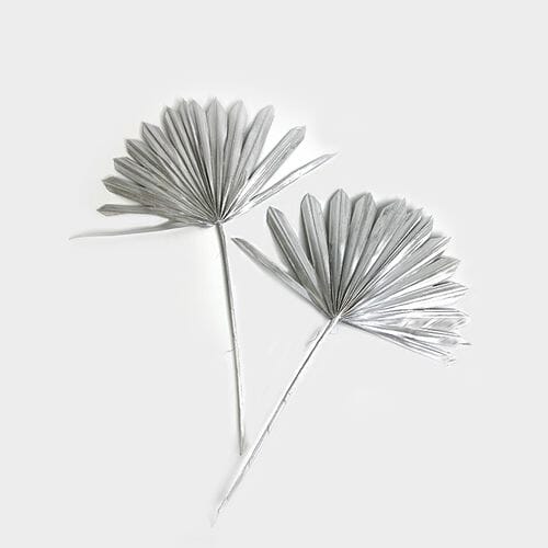 Blooms by the Box Palm - Thumbnail 3
