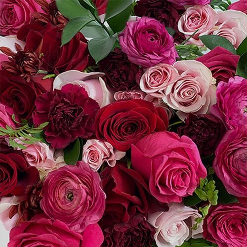 Wholesale flowers prices - buy Pantone Viva Magenta Flower Pack in bulk