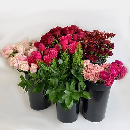 Pantone Viva Magenta Flower Pack