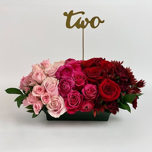 Pantone Viva Magenta Flower Pack
