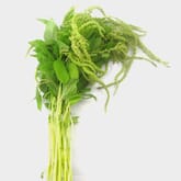 Amaranthus Green Hanging 70cm