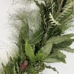 Garland Explosion Grass/pitt/grevillea 10 Feet