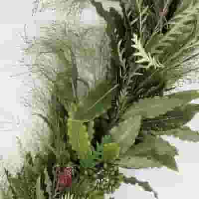 Garland Explosion Grass/pitt/grevillea 10 Feet