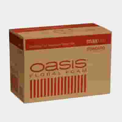 Oasis Standard Floral Foam Bricks X48