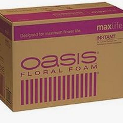 Bulk flowers online - Oasis Instant Floral Foam Bricks X48