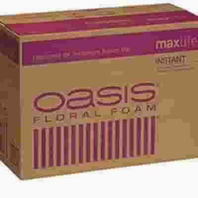 Oasis Instant Floral Foam Bricks X48