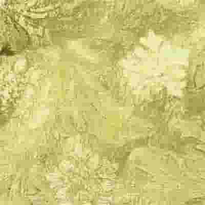  Poly Embossed Foil 20