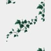 Green Ivy & White Plant Sleeves 12x30x36