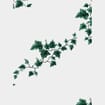 Green Ivy & White Plant Sleeves 6x20x30
