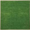 Essence Non-Woven Bouquet Sheets Green X100