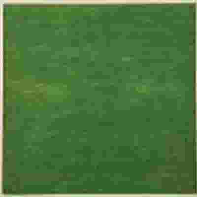 Essence Non-Woven Bouquet Sheets Green X100