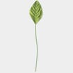 Corsage Leaves 2.25