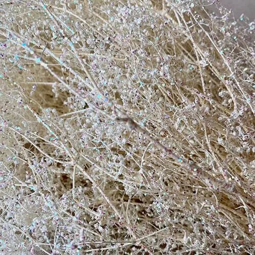 Bulk flowers online - Sparkle Gyp White 4oz