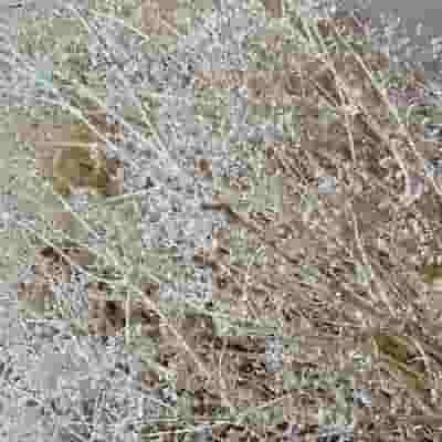 Sparkle Gyp White 4oz