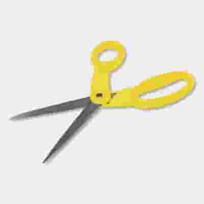 Oasis Ribbon Shears