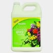 FloraLife Clear Crowning Glory Solution 1gal