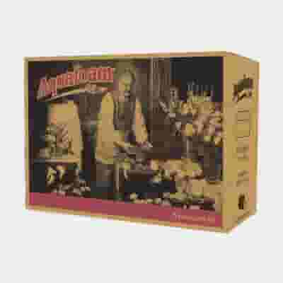 Aquafoam Standard Floral Foam Bricks X48