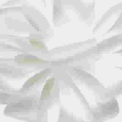 Double-Faced Satin Ribbon #3-5/8 Inch White x 50 Yards