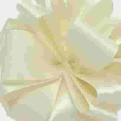 Double-Faced Satin Ribbon #9-1.5 Inch Antique White x 50 Yards