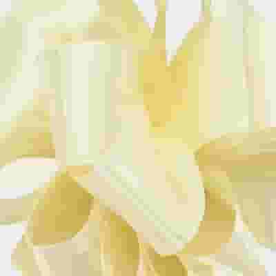 Double-Faced Satin Ribbon #9-1.5 Inch Ivory x 50 Yards