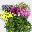 DIY Wildflower Bouquet Bar Pack