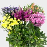 DIY Wildflower Bouquet Bar Pack
