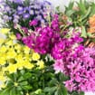 DIY Wildflower Bouquet Bar Pack