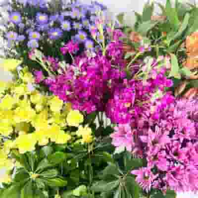 DIY Wildflower Bouquet Bar Pack