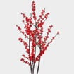 Winter Berry Branches 10 Lbs Case