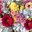 Pastel Punch Flower Pack