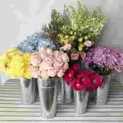Pastel Punch Flower Pack