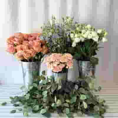 Summer Breeze Flower Pack