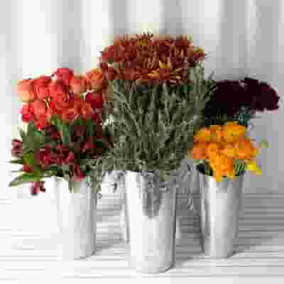 Harvest Hues Flower Pack