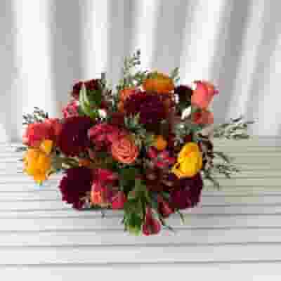 Harvest Hues Flower Pack