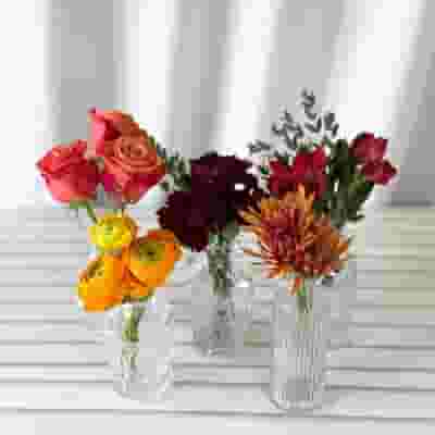 Harvest Hues Flower Pack